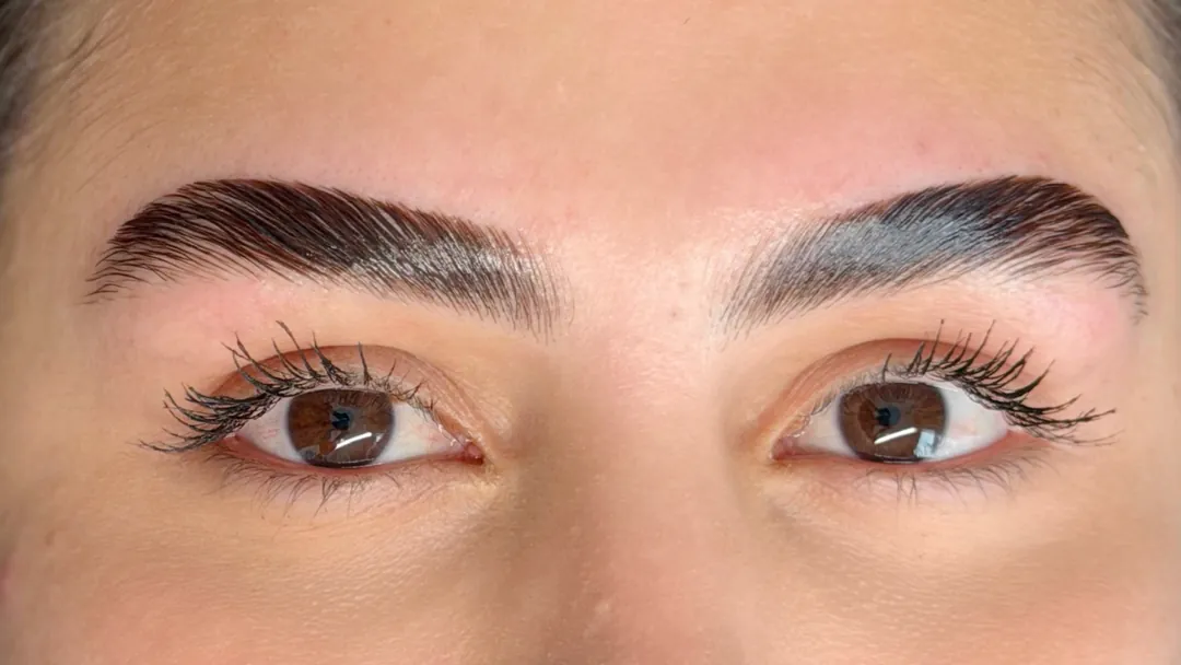 Brow Lamination result: brow hairs brushed up and set, fuller shape